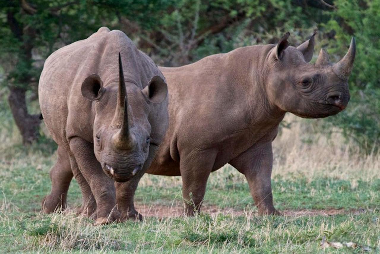 Pilanesberg Private Lodge Eksteriør bilde